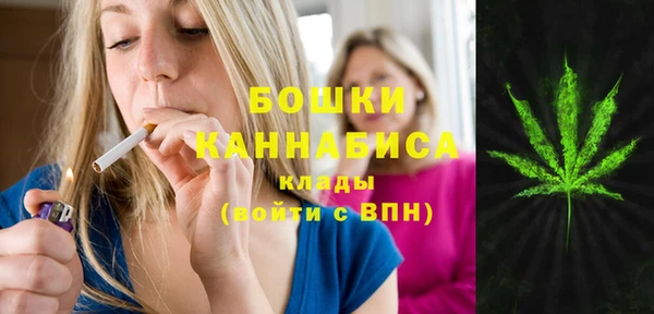 индика Балабаново