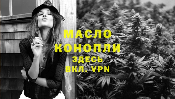 индика Балабаново