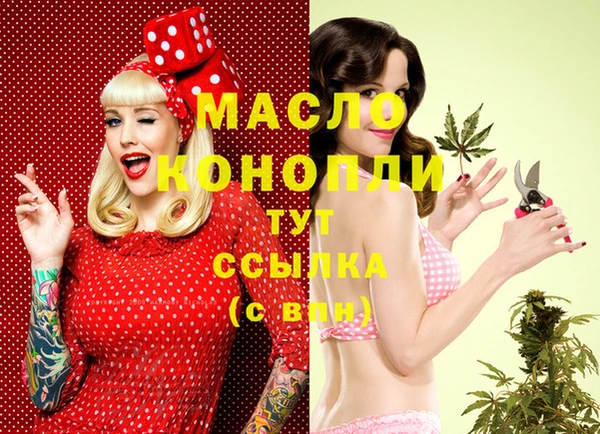 индика Балабаново