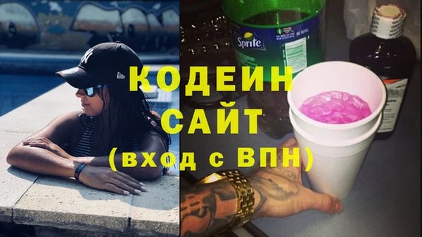 индика Балабаново