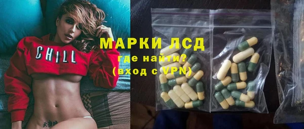 индика Балабаново