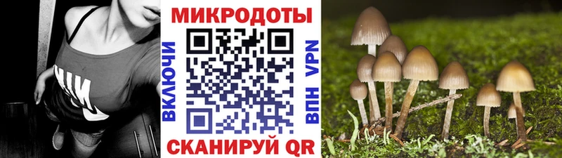 Галлюциногенные грибы Magic Shrooms  дарнет шоп  Баксан 